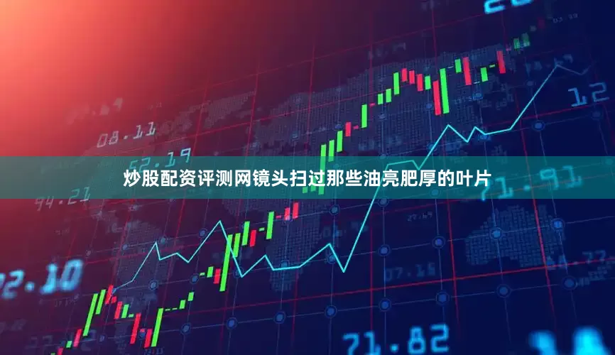 炒股配资评测网镜头扫过那些油亮肥厚的叶片
