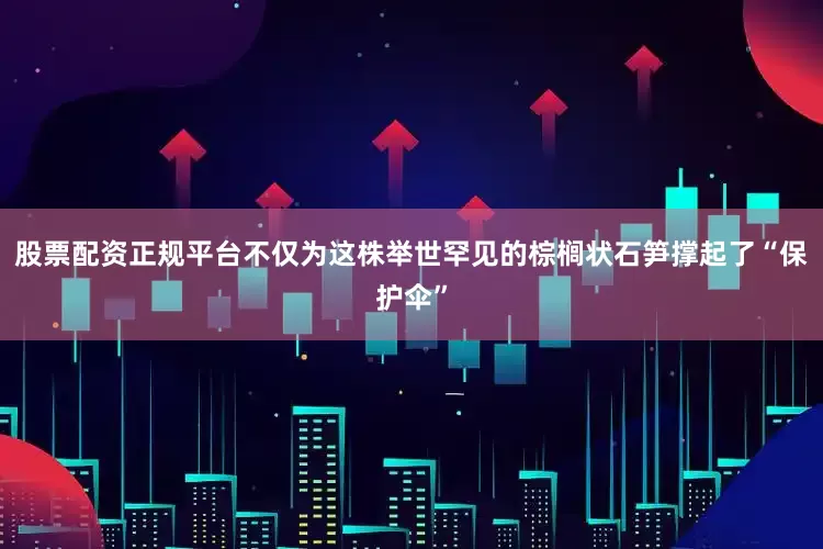 股票配资正规平台不仅为这株举世罕见的棕榈状石笋撑起了“保护伞”